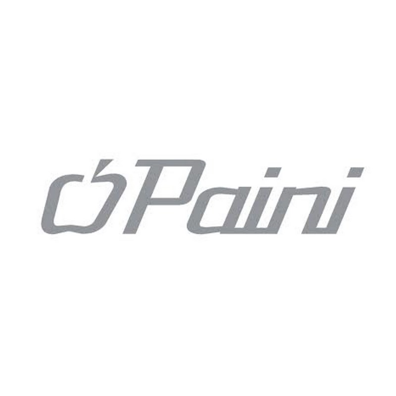 Paini